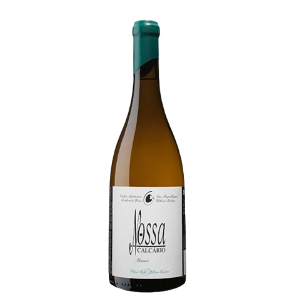 Filipa Pato Nossa Calcário