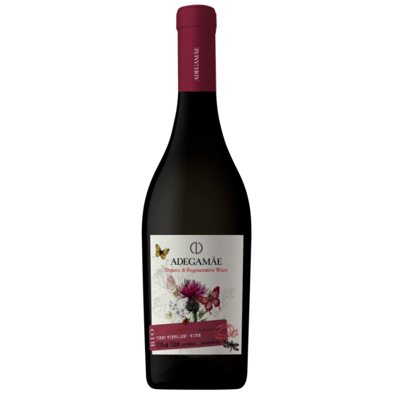 Adega Mãe And Regenerative