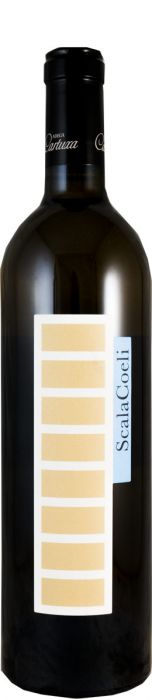 Scala Coeli Verdelho