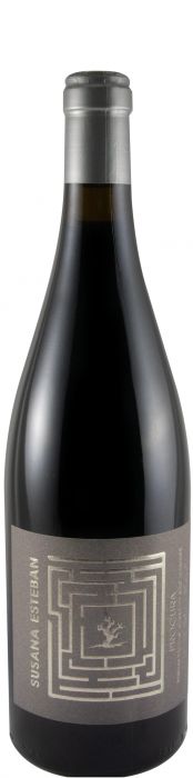 Susana Esteban Procura