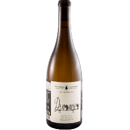 Filipa Pato Dinamica