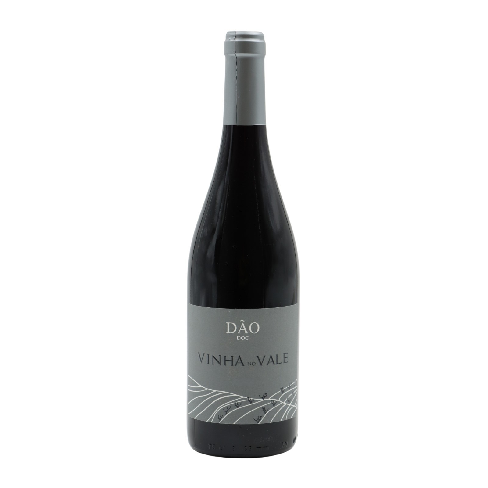 Vinha No Vale