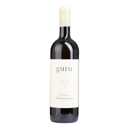 Guru Vinha Da Calçada