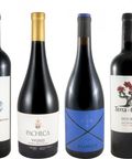 Tesouros do Douro