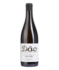 António Vinhas Velhas