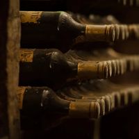 Niepoort Vinhos