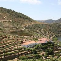 Taylor's — Quinta de Vargellas