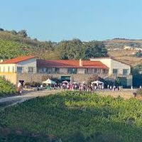 Quinta da Casa Amarela