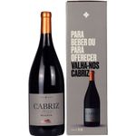 Magnum Quinta de Cabriz Reserva Dão