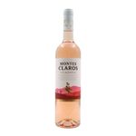 Montes Claros