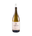 Vale da Capucha