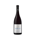 Aneto
