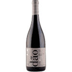 Álvaro de Castro Dão