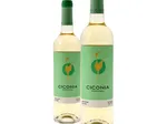 ciconia alentejo