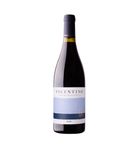 Vicentino