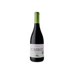 Cabriz / Magnum 1.5Lt
