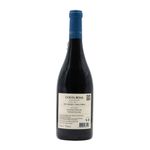 Costa Boal Sousão Douro