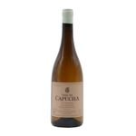 Vale da Capucha Parcela São José