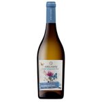 Adegamãe Biológico Lisboa