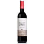 Penedo Gordo