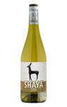 Shaya Magnum