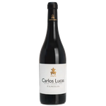 Ribeiro Santo Carlos Lucas Família