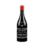 Tinta Negra dos Villões Vale de São Vicente