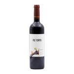 Foz Torto Douro
