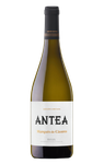 Marqués de Cáceres Antea