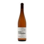 Baías e Enseadas Castelão