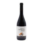 Quinta do Carvalhão Torto Dão