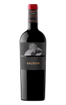 Gaudium