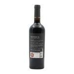 Odisseia - Douro