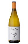 Laventura Malvasia