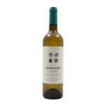 Sousa Lopes Sauvignon
