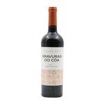 Gravuras do Côa Douro