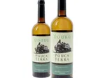 pouca terra douro