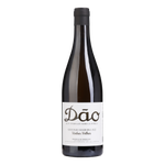 António Vinhas Velhas