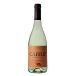 Cabriz Touriga Nacional