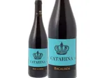catarina setúbal