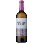 Gravuras do Coa