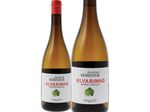 pequenos rebentos alvarinho verdes