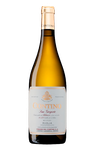 Contino Blanco
