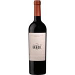 Gradil Tannat & Touriga Nacional