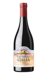 Las Aldeas Galia