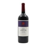 Magnum Quinta do Côtto Vinha do Dote