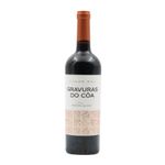 Gravuras do Côa
