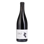 António Vinhas Velhas