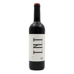 Almeida Garret TNT