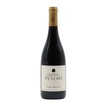 Quinta do Penedo Dão